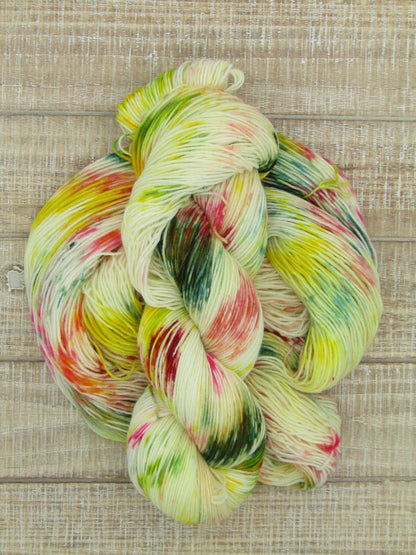 Hand-Dyed Yarn Set Merino/Nylon Sock Weight Abner