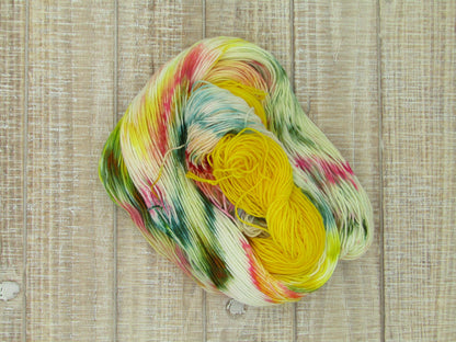 Hand-Dyed Yarn Set Merino/Nylon Sock Weight Abner