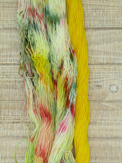 Hand-Dyed Yarn Set Merino/Nylon Sock Weight Abner