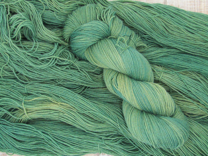 Hand-Dyed Yarn Set Merino/Nylon Sock Weight ZsaZsa