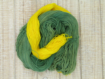 Hand-Dyed Yarn Set Merino/Nylon Sock Weight ZsaZsa