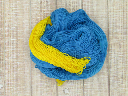 Hand-Dyed Yarn Set Merino/Nylon Sock Weight Wyatt