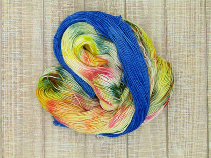 Hand-Dyed Yarn Set Merino/Nylon Sock Weight Abner