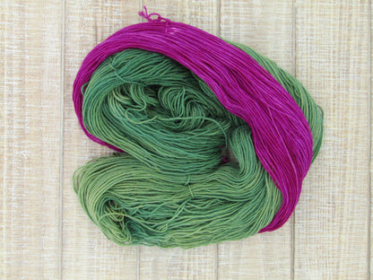 Hand-Dyed Yarn Set Merino/Nylon Sock Weight ZsaZsa