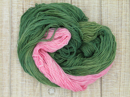 Hand-Dyed Yarn Set Merino/Nylon Sock Weight ZsaZsa