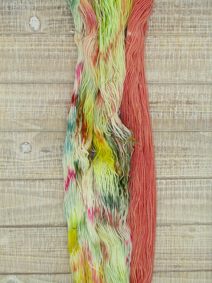 Hand-Dyed Yarn Set Merino/Nylon Sock Weight Abner