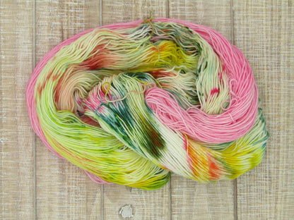 Hand-Dyed Yarn Set Merino/Nylon Sock Weight Abner