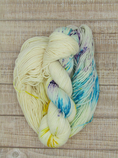 Hand-Dyed Yarn Set Merino/Nylon DK Weight Hugo