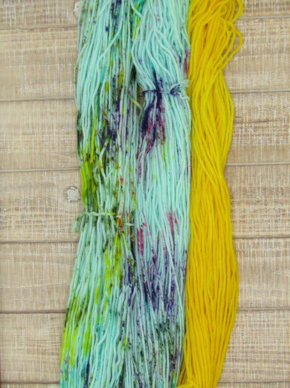 Hand-Dyed Yarn Set Merino/Nylon DK Weight Charlotte