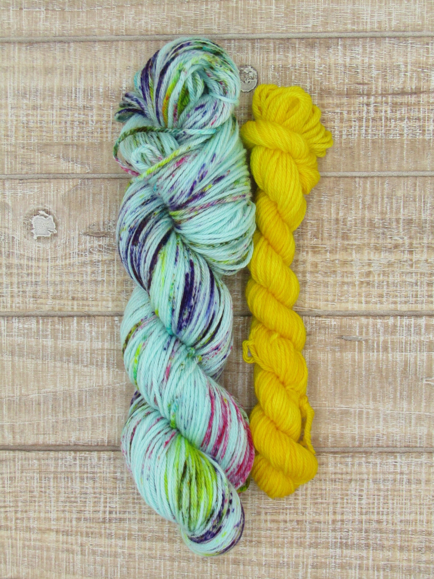 Hand-Dyed Yarn Set Merino/Nylon DK Weight Charlotte