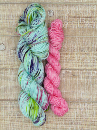 Hand-Dyed Yarn Set Merino/Nylon DK Weight Charlotte