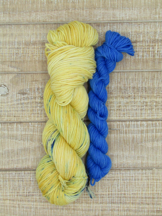 Hand-Dyed Yarn Set Merino/Nylon DK Weight Robin