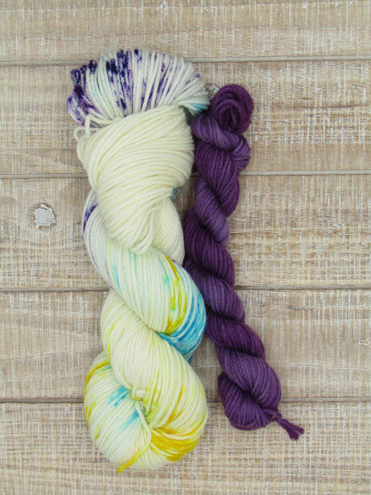 Hand-Dyed Yarn Set Merino/Nylon DK Weight Hugo