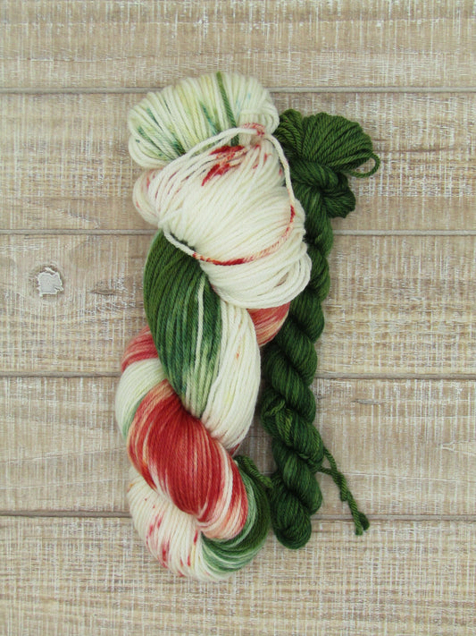 Hand-Dyed Yarn Set Merino/Nylon DK Weight Reginald