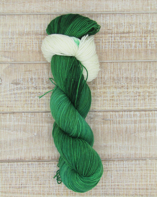 Hand-Dyed Yarn Superwash Merino/Nylon Sock Weight Holly